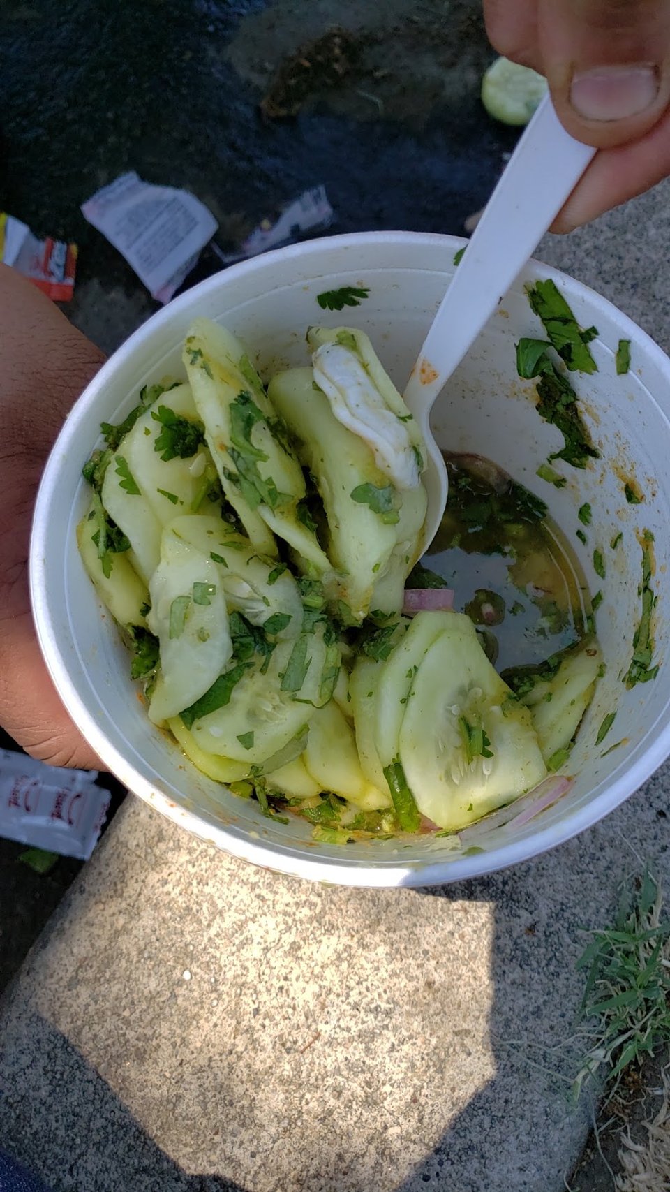 Pepino Con Cilantro